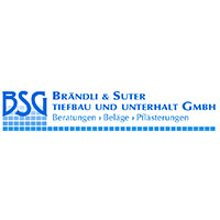 BSG GmbH